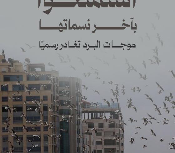 حالة الطقس في غزة.jpeg