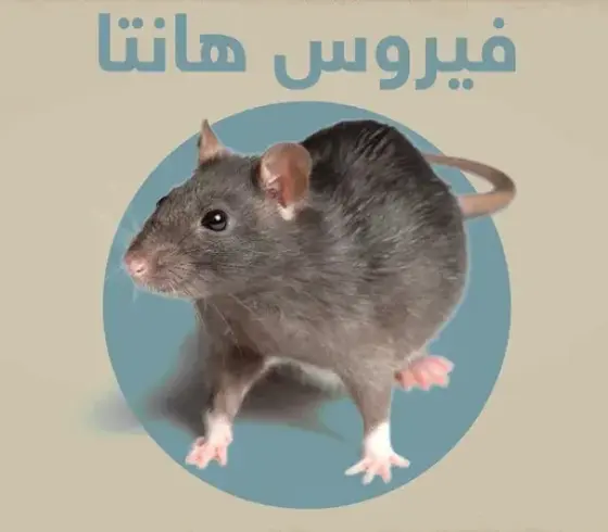 فيروس هانتا