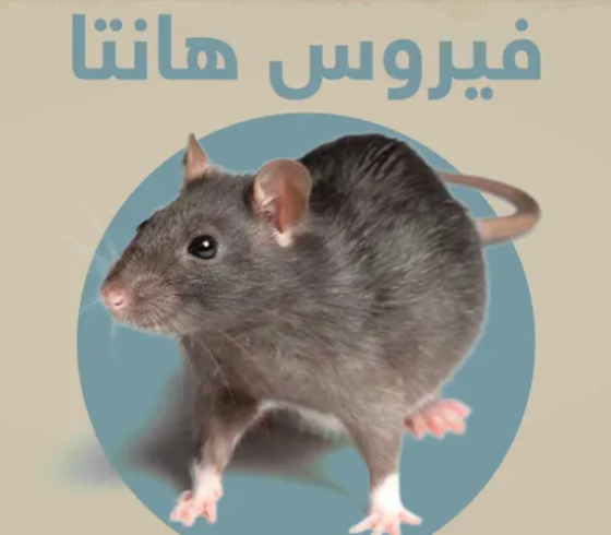 فيروس هانتا