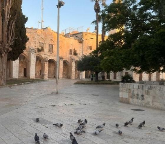 المسجد الاقصى