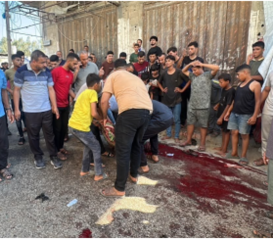 لقطة الشاشة 2026-07-17 211642