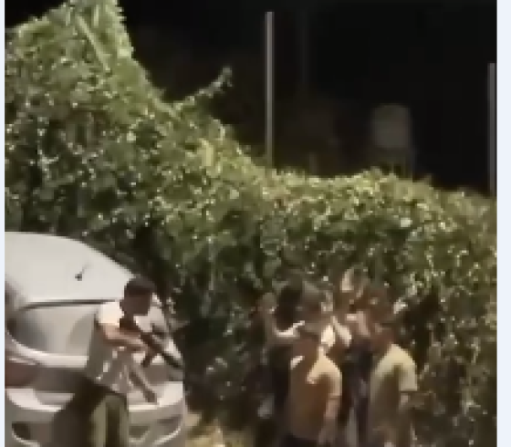 اعتداء مستوطن.PNG