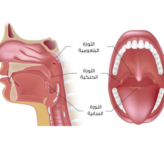 عملية استئصال اللوزتان