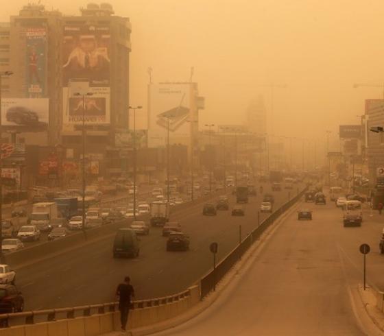 عاصفة التنين في مصر