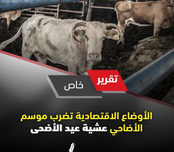 سسسس