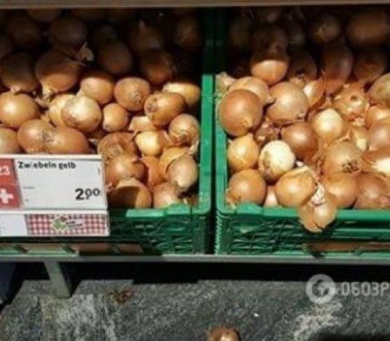 قشور البصل في سويسرا