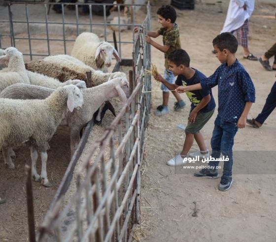 عيد الأضحى
