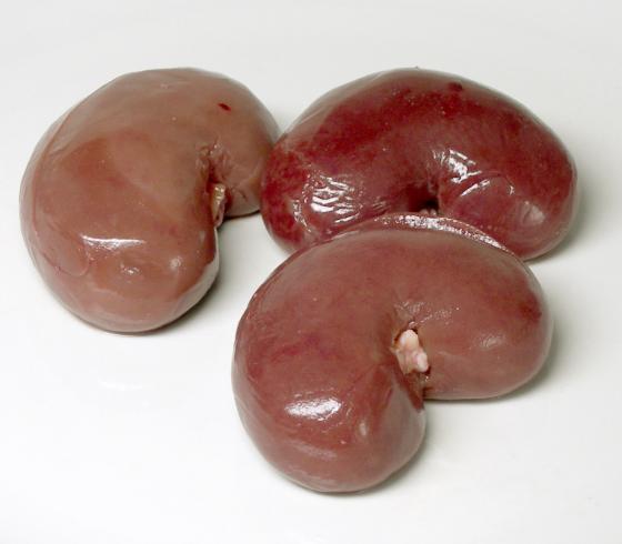 خصية الخراف