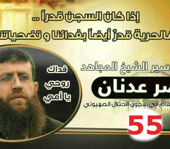 خضر عدنان 55
