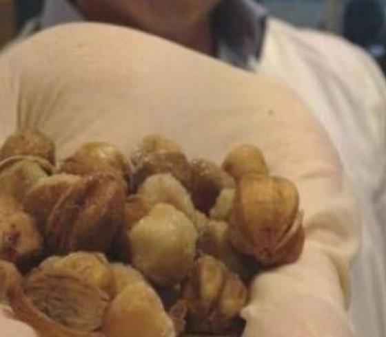 ثمار للقضاء على السرطان