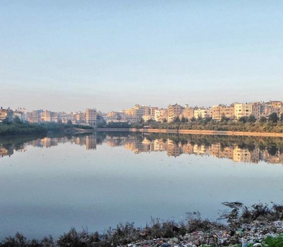 بركة الشيخ رضوان