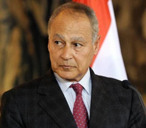 أحمد أبو الغيط