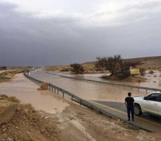 سيول