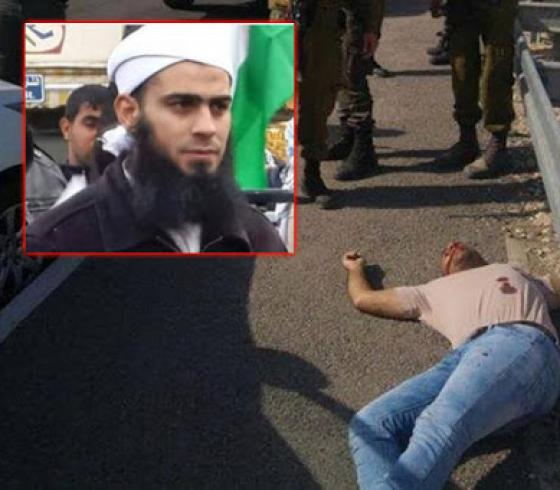 فادي