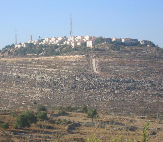 مستوطنة 
