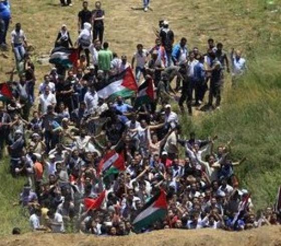 صورة من الارشيف