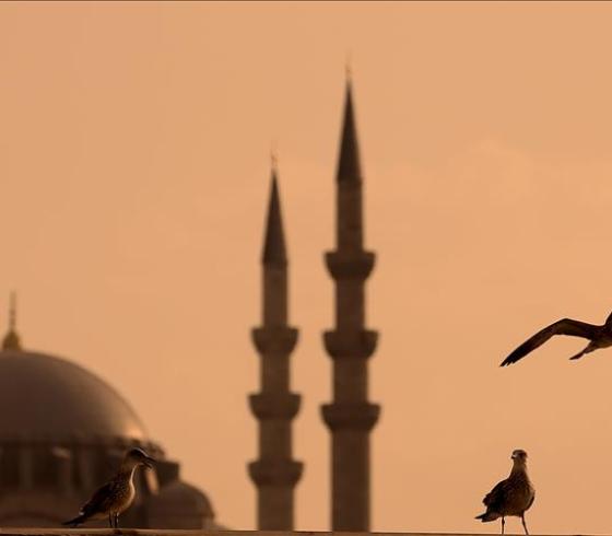 الاسلام