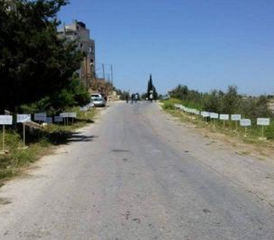 على طريق الحرية