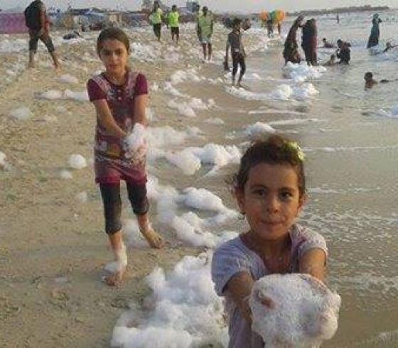 زبد البحر