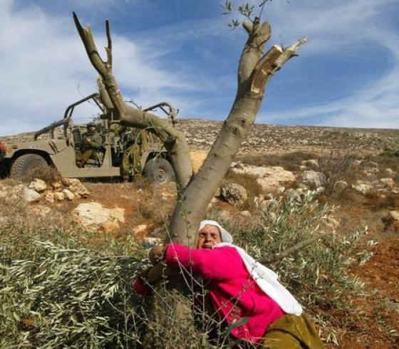 صورة تعبيرية