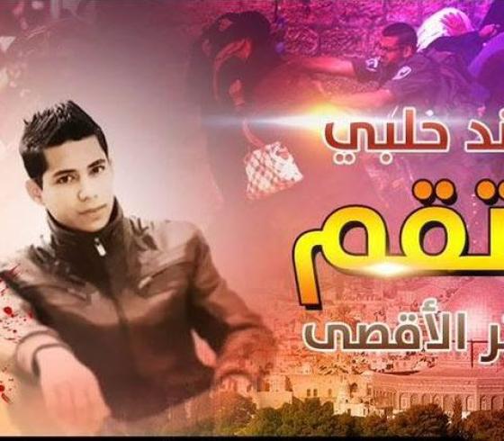 مهند حلبي