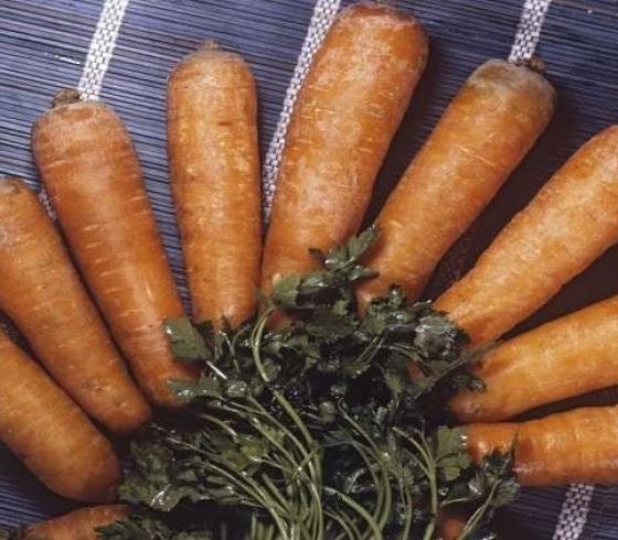 جزر