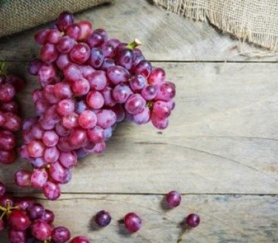 اطعمر تكافح السرطان