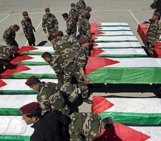 جثامين الشهداء