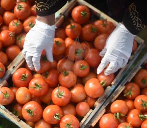البندورة  ‫(41943554)‬ ‫‬