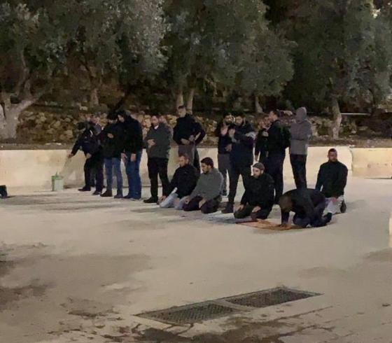 صورة من الأرشيف 