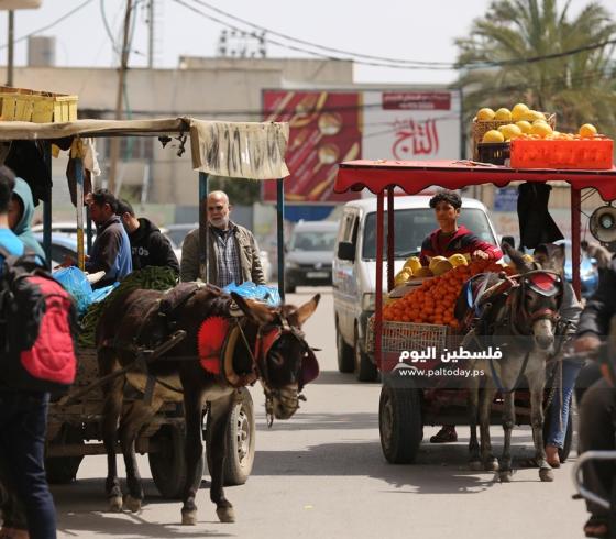 صورة ارشيفيه لباعة الخضار في الشوارع