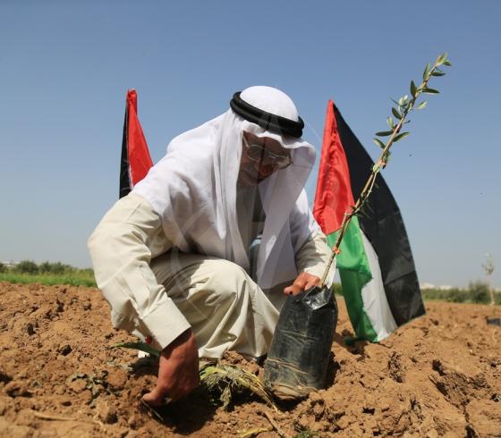 تعبيرية