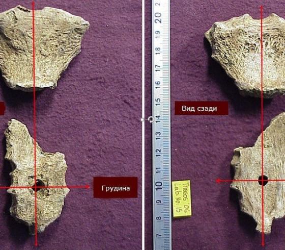 تعبيرية