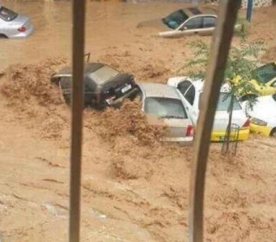 سيول