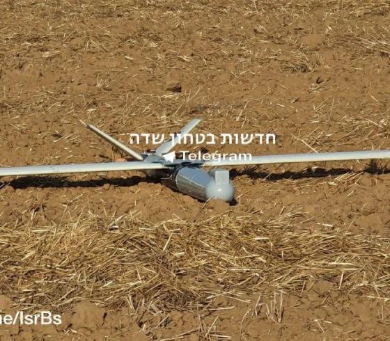 ارشيفية