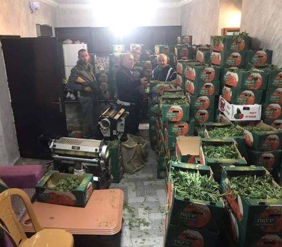 صورة من مكان ضبط المخدرات