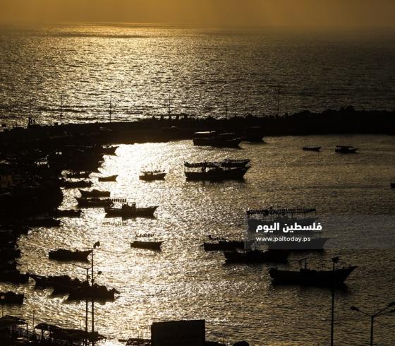 ميناء غزة (4)