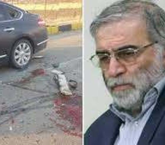 محسن فخري زاده