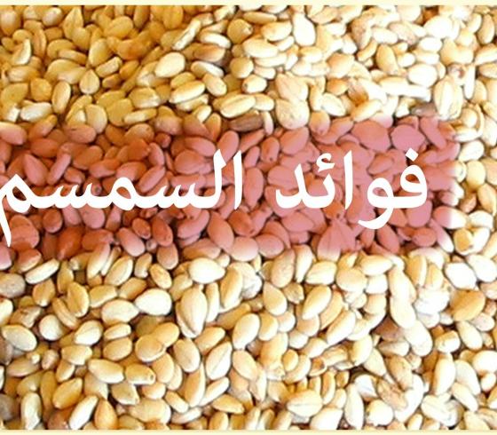  سمسم