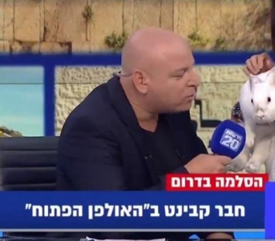مذيع اسرائيلي يستهزأ بأعضاء الكابنيت الإسرائيلي
