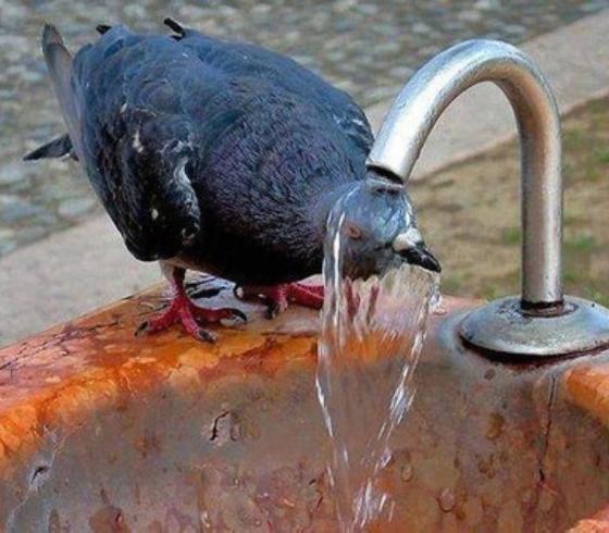طقس