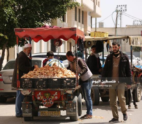 عربات الخضار للشوارع (6).JPG