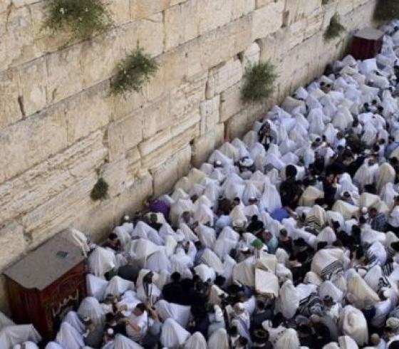 مستوطون عند حائط البراق