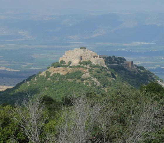 الجولان