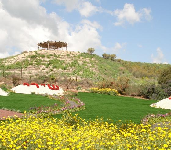 جزيرة السلام