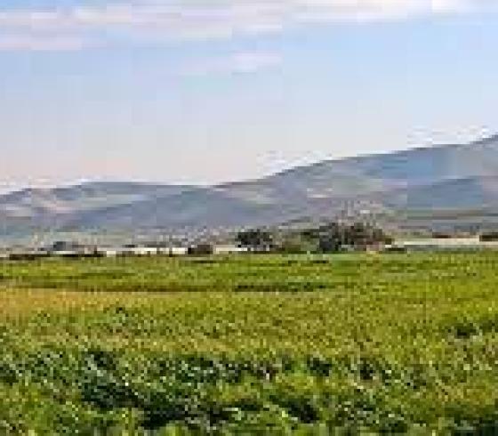 الاغوار الشمالية