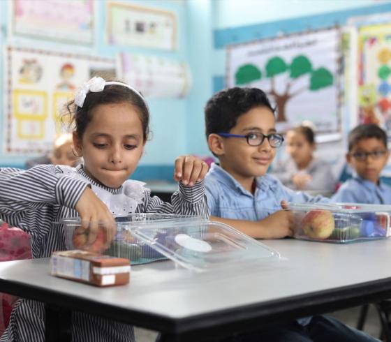 مدارس الاونروا