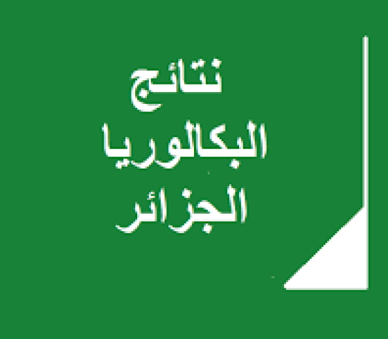خلال ساعات - نتائج البكالوريا 2019 الجزائر الدورة الإستدراكية