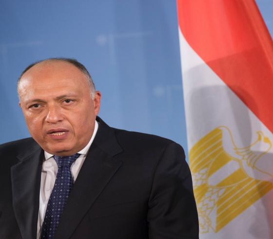 سامح شكري وزير الخارجية المصرية
