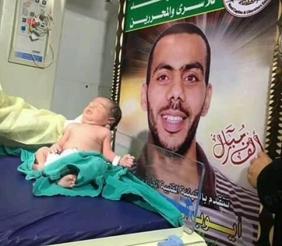 صورة الطفل مجاهد